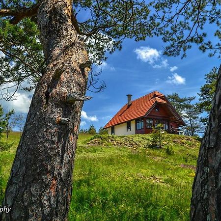 Cottage Vodice Zlatibor Eksteriør billede