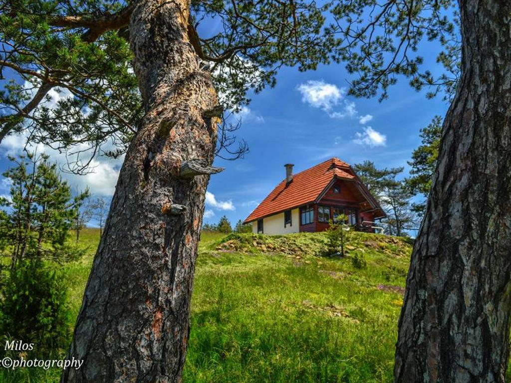 Cottage Vodice Zlatibor Eksteriør billede