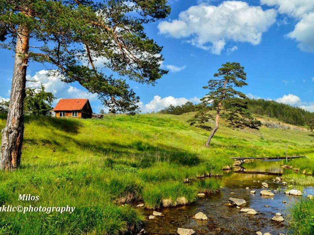 Cottage Vodice Zlatibor Eksteriør billede